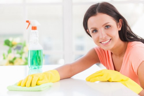Carpet cleaning team using sustainable practices in NW5