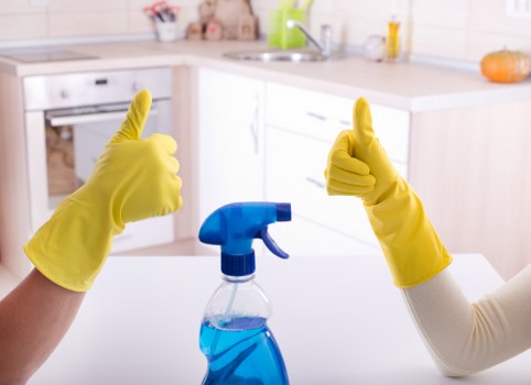 Professional carpet cleaning in an NW5 home with a fresh living room carpet