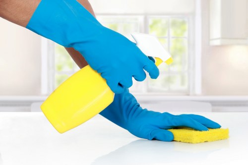 Professional rug cleaning service for a NW5 home rug