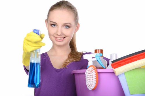 Window cleaning equipment and glass care for local homes and flats