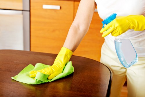 Pet stain removal service for a flat in the NW5 area with careful access